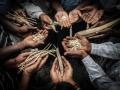 Seed-banks are an effective instrument to preserve local varieties and keep people together