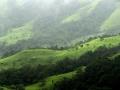 Shola grasslands, Kudremukh National Park, Karnataka (Image Source: Wikimedia Commons)