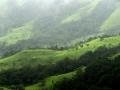 Shola grasslands in Western Ghats Source:Wikipedia