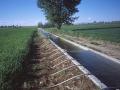 Irrigation canal in Maharashtra (Source:Wikipedia)