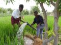 Through SRDS method, monsoon rain is channelled back through borewells into the underground aquifers where it can be conserved for future use.