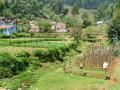 A stream flowing through a settlement and farms.