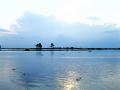 The river Brahmaputra (Source: Wikimedia Commons)