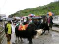 Tourists at Tsomgo Lake, Sikkim