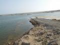 The path built for illegal sand mining at the Triveni Sangam.