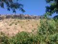 Basalt rocks characterize the Deccan Plateau