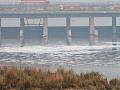 Frothing Yamuna (Picture courtesy: The Indian Express)