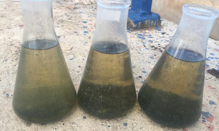 This is water after chemical dosing