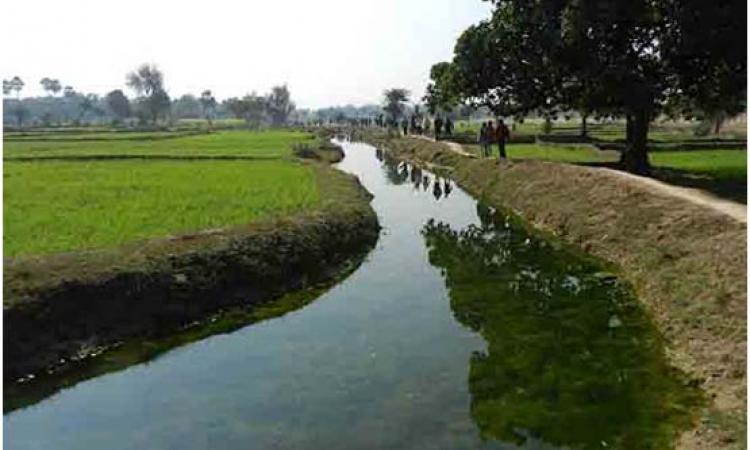 Ahar Pyne system in Gaya, South Bihar (Image courtesy: Hindi Water Portal)