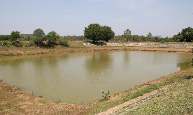 A small tank near Thalambedu in Kanchipuram (Image Source: India Water Portal)