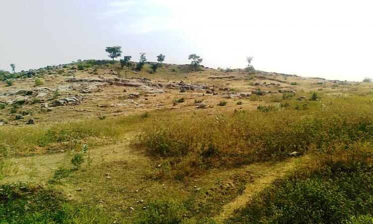 Rugged, rocky terrain of Bundelkhand, Madhya Pradesh (Image: Shweta Prajapati)