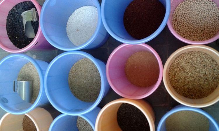 Cereals and millets at a bazaar in Nizampet, Hyderabad (Image Source: Aditya Madhav, CC BY-SA 3.0, Wikimedia Commons)