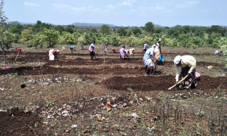 The communities are aware of the importance of harvesting and storing rainwater for meeting their needs, and have established several rules and norms for use of common resources. (Image: FES)