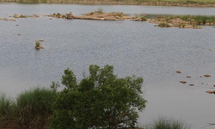 River Ken in Madhya Pradesh (Image Source: Shivamd2d via Wikimedia Commons)