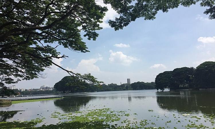 Ulsoor lake, Bengaluru (Image Source: Subhashish Panigrahi via Wikimedia Commons)