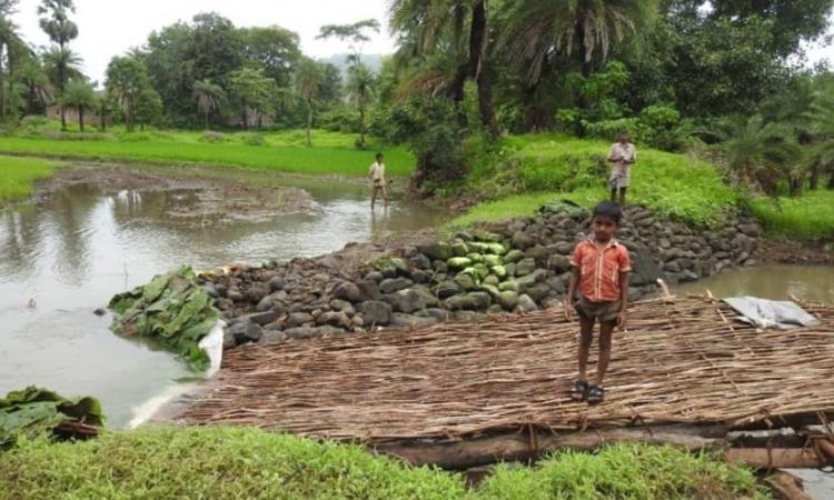 Dahanu, a green zone enjoyed special protection since 1991 (Image: nathview.blogspot.com)