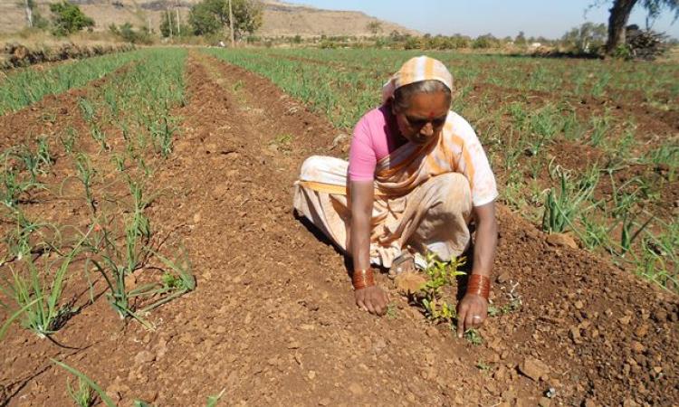 Improving water availability in Mogras. Image used for representation only (Image Source: WOTR)