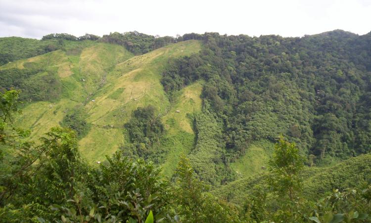 Jhum cultivation in Nokrek biosphere reserve, Meghalaya (Image: Wikimedia Commons, CC BY 2.0)
