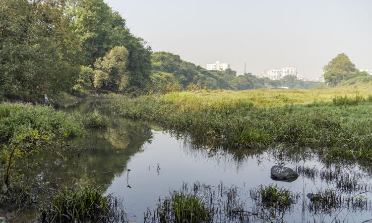 Mula-Ram river confluence stretch at Aundh-Baner link road, Pune (Image Source: Jeevitnadi)