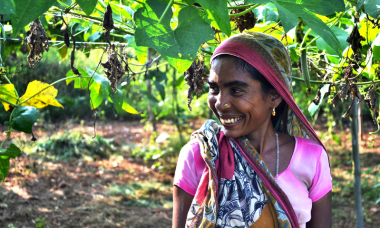 Kitchen garden project helps people in pandemic times (Image: Utthan)