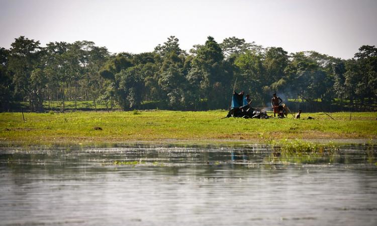 Wetlands are an essential component of our ecosystem (Image source: IWP Flickr photos)