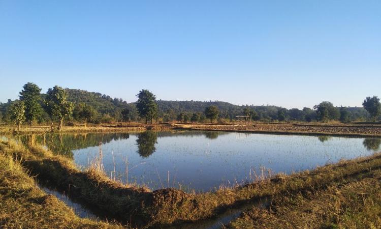 Collective efforts revived the canal structure of Bichhiya dam bringing water to the village (Image: Foundation for Ecological Security)