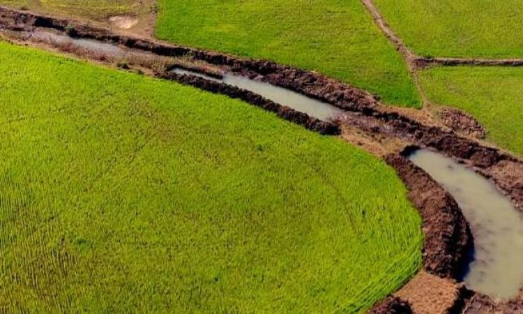 Dohas constructed in a stream in Dindori district. (Image: Action for Social Advancement)