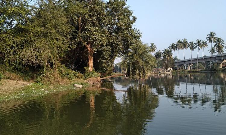 Households living close to tanks pursue a variety of livelihood activities based on resources available in tanks for their sustenance (Image: Amitabha Gupta, Wikimedia Commons) 