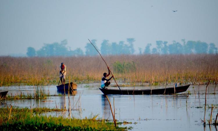 Ramsar Site: Kabartal Wetland (Site no. 2436) - Kabartal Wetland, also known as Kanwar Jheel, covers 2,620 hectares of the Indo-Gangetic plains in the northern Bihar State. The Site is one of 18 wetlands within an extensive floodplain complex; it floods during the monsoon season to a depth of 1.5 metres. (Image: Credit: Wetlands International South Asia, 2015)
