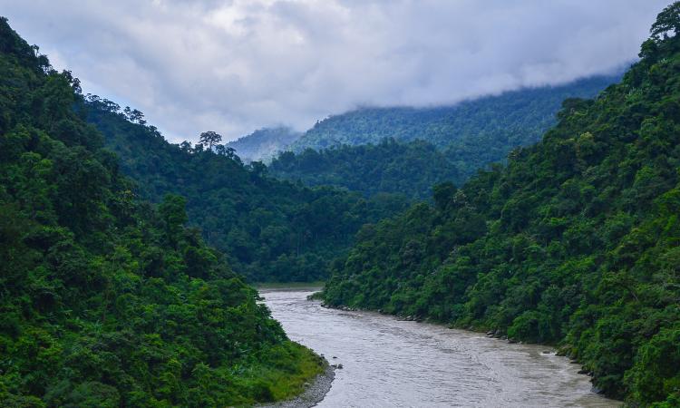 Heaven on earth: A view of the Teesta from the coronation bridge (Image Source: Paramanu Sarkar via Wikimedia Commons)