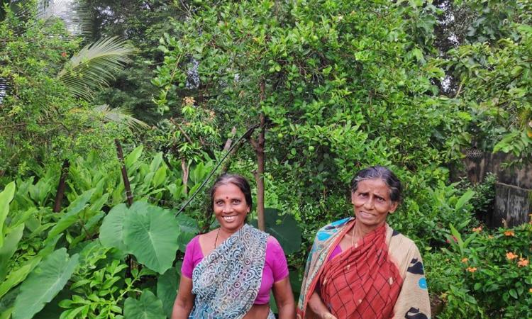 The APCNF policy promotes zero synthetic chemical inputs (Image: Andhra Pradesh Community Managed Natural Farming Facebook Page)