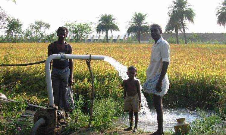 Rice farmer irrigating from a shallow well to complement irrigation water from the Nagarjuna irrigation scheme in Krishna river basin, Andhra Pradesh (Image: François Molle, Water Alternatives)