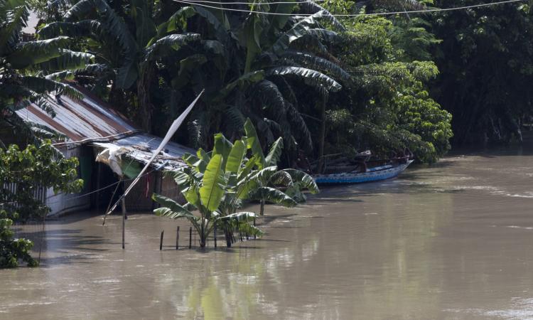 ESCAP is supporting monitoring and implementation of climate and disaster-related Sustainable Development Goals as well as the Sendai Framework for Disaster Risk Reduction (Image: Fazlul Alam, Pixahive)