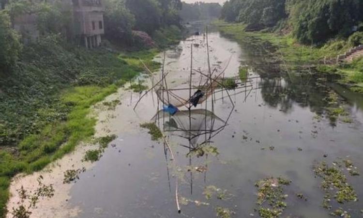 Illegal transverse check dams (Badhals) built on Ichamati near a village in Basirhat (Image: Prithviraj Nath @ TheWaterChronicles)