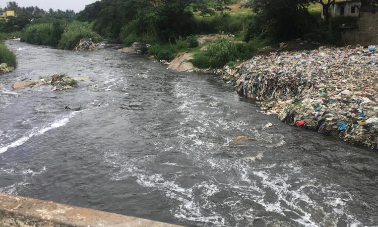 Vrishabhavathi river flow at Thagachguppe Bridge, Kumbalgodu (Image Source: Paani.Earth)