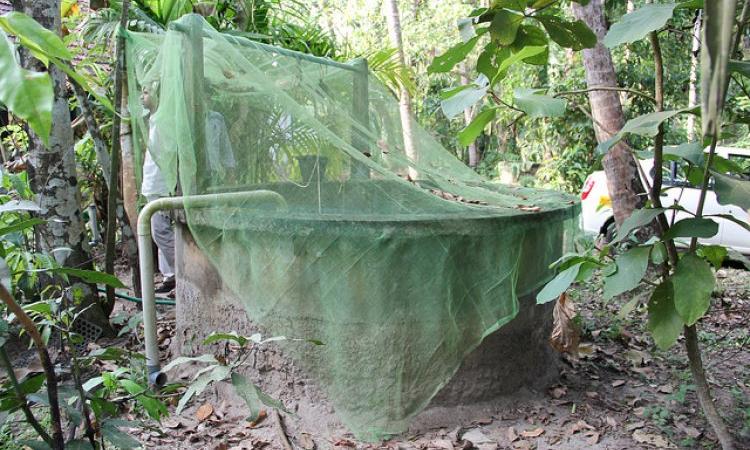 Mazhapolima helps recharge wells. (Source: IWP Flickr photos)