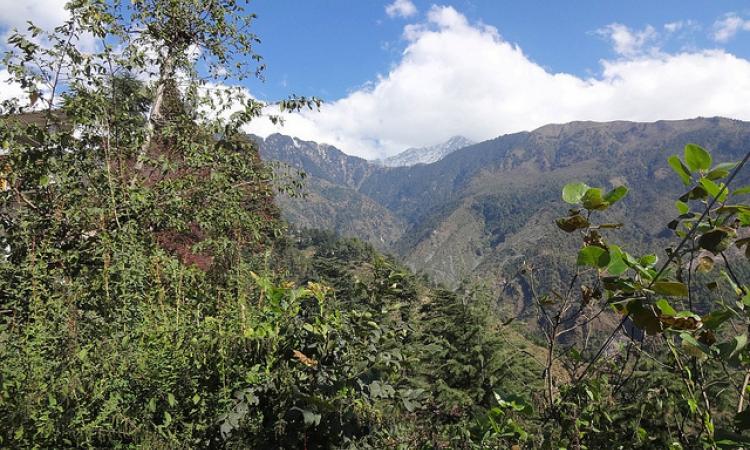 Forest cover of Himachal Pradesh