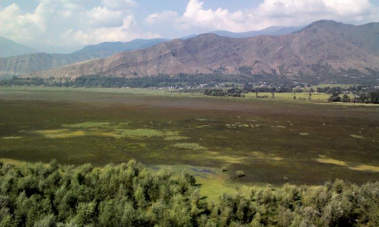 Wular lake seen from Saderkote Park. (Source: Wikipedia)