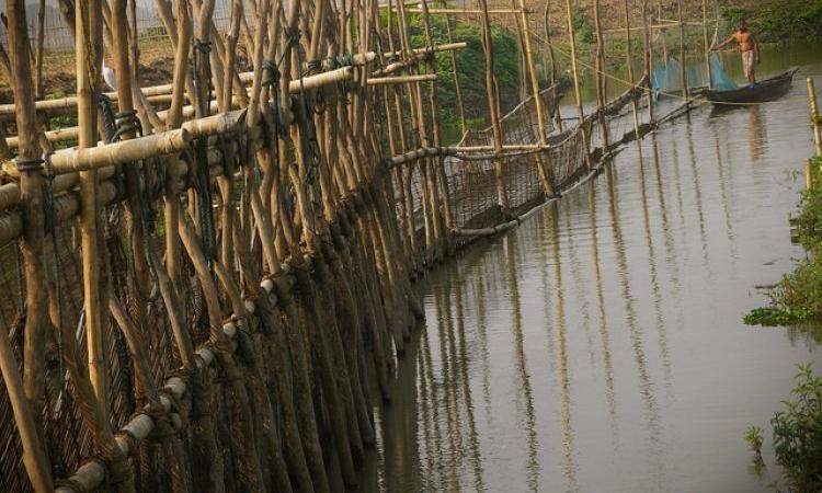 Deepor Beel, a wetland in Assam (Source: IWP Flickr photos)