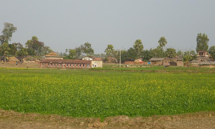 A farm in India. (Source: IWP Flickr Photos)