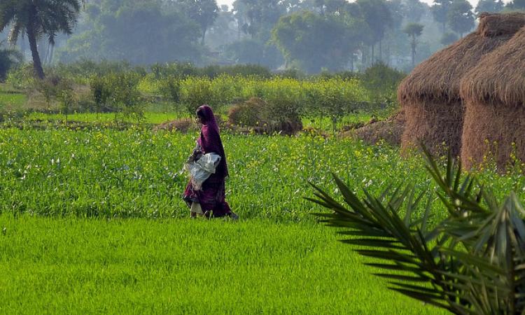 Subsidies for irrigation efficiency lead to a decrease in water availability at the watershed level because of increased irrigated areas and water withdrawals. (Pic: IWP Flickr photos)