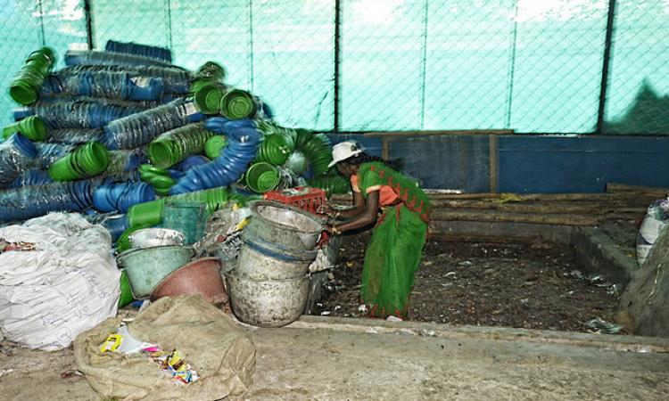 Organic waste can be efficiently decomposed with the help of earthworms. (Source: IWP Flickr photos)