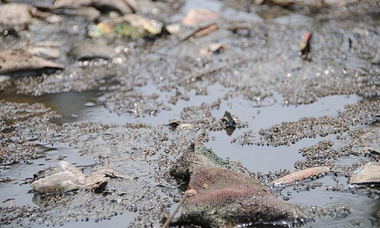 Hospital wastewater can be dangerous to the environment. (Source: IWP Flickr photos--photo used for representation only)