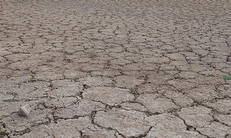 Parched land during drought in India. (Source: IWP Flickr Photos)