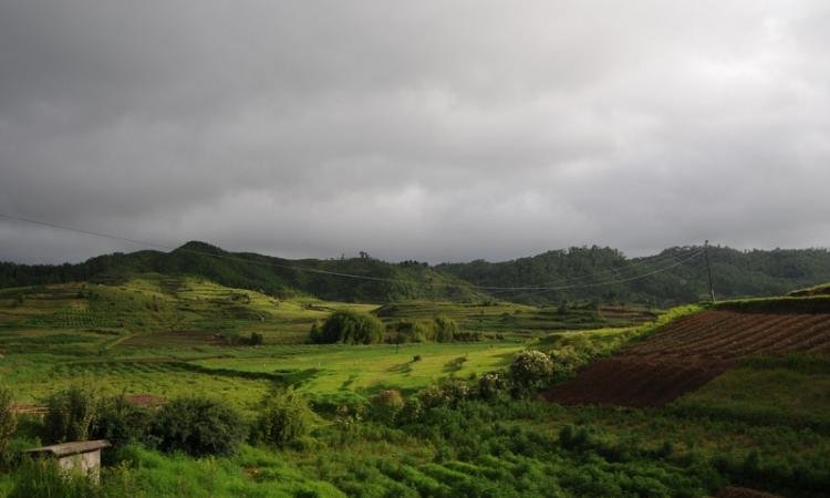 Green but water-scarce