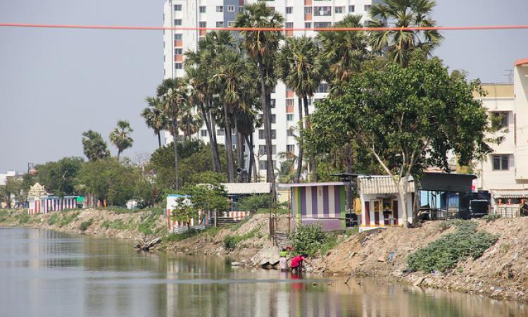 The recently restored Narayanapuram wetland. (Source: IWP Flickr photos)