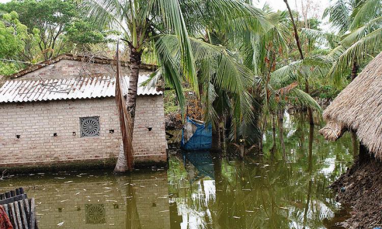 Devastation following Alia 2009