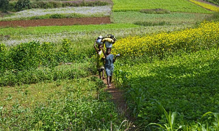 Rural women use creative ways to manage food and nutrition security in their households. (Source: IWP Flickr photos)