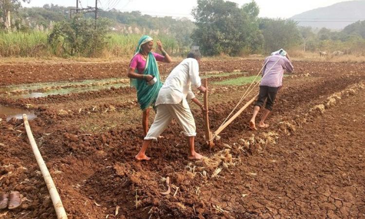 The centre will provide advanced information and tools to increase farmer resilience to climate change. (Photo: IWP flickr photos)