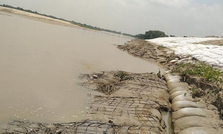 An embankment in Madhubani after a week of repairing (Source: Santosh Yadav via IWP Flickr albums)